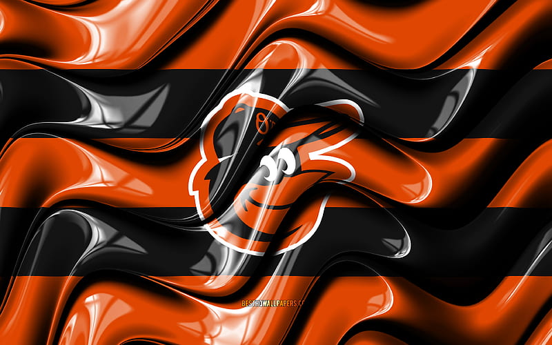 Download 2019 Baltimore Orioles Orange Background Wallpaper