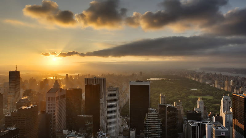 Central Park Manhattan During Sunrise New York, HD wallpaper