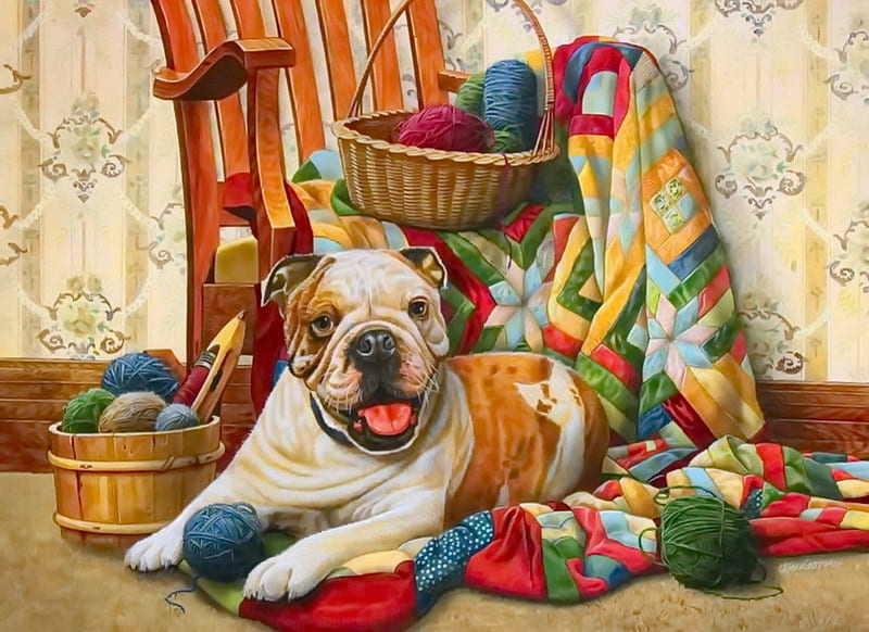 Cute bulldog, playing, colorful, art, lovely, home, bonito, adorable, bulldog, sweet, cute, yarn, painting, room, HD wallpaper