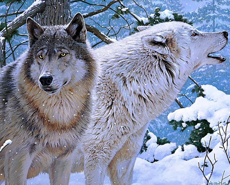 Wolves, animal, paint, snow, wolf, HD wallpaper