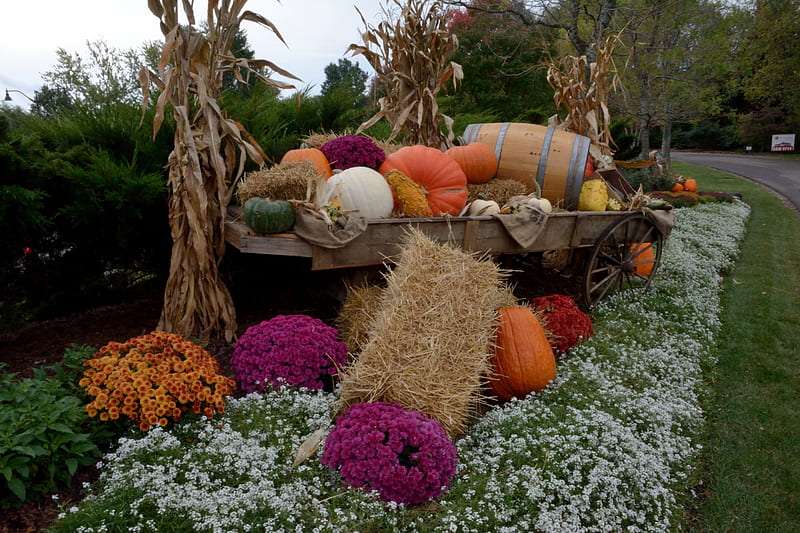 Its Harvest Time, harvest, autumn decor, harvest decor, autumn time, HD wallpaper