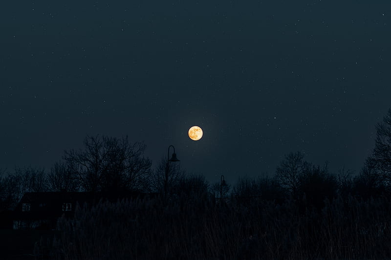 moon, full moon, starry sky, night, darkness, silhouettes, HD wallpaper