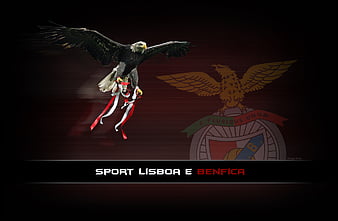 Hd Sport Lisboa E Benfica Wallpapers Peakpx