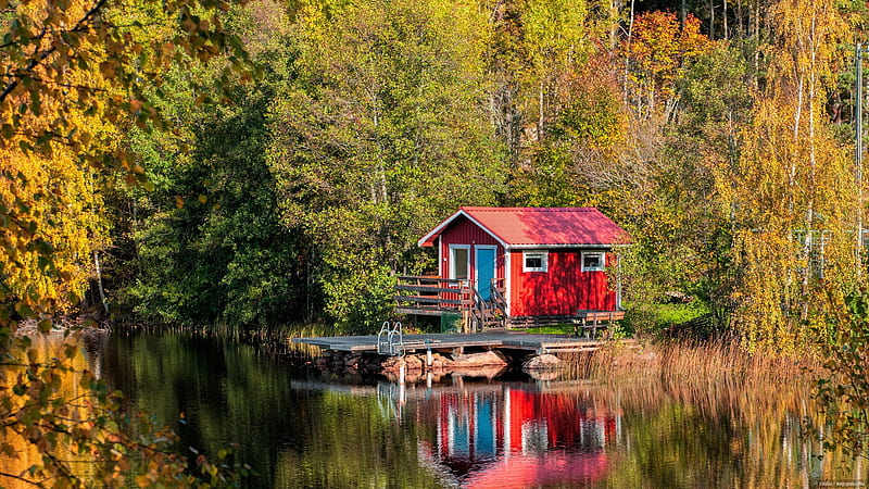 Tiny house on the lake, forest, fall, autumn, house, cabin, trees, lake, tiny, mirror, reflection, tranquility, HD wallpaper