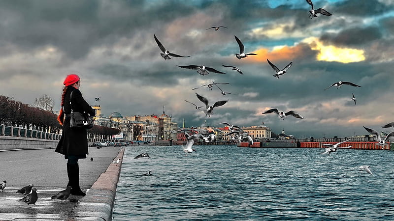 Neva Sankt Petersburg, red, cloud, black, seagull, sky, sankt petersburg, water, girl, neva, bird, russia, blue, HD wallpaper