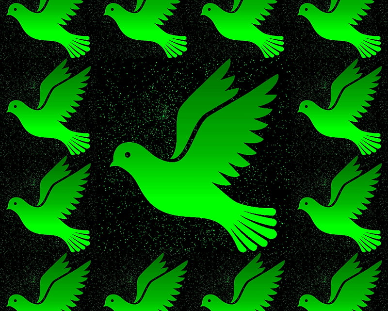 Dove, gizzzi, night sky, green, black, labrano, HD wallpaper