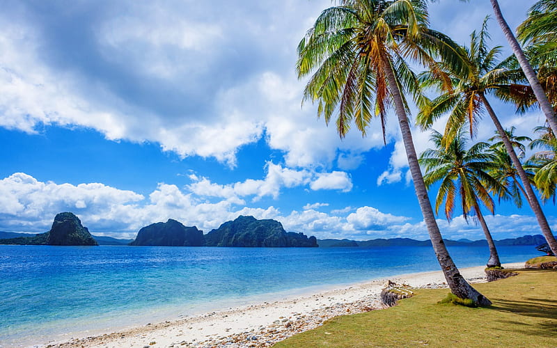Philippines, beach, sea, palm trees, tropical island, sand, HD wallpaper