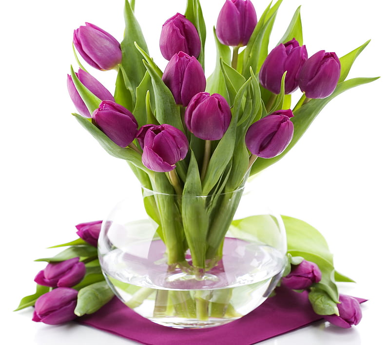 Purple Tulips, with love, pretty, vase, bonito, still life, graphy, green, flowers, beauty, tulips, for you, tulip, bowl, lovely, romantic, romance, colors, purple tulip, purple, bouquet, flower, violet, nature, HD wallpaper