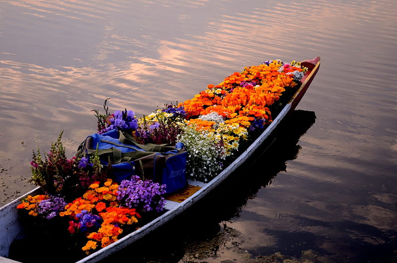 Kashmir Flowers, bag, flowers, water, boat, HD wallpaper