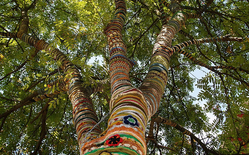 Tree with Dress, funny, tree, decorative art, handcraft, HD wallpaper