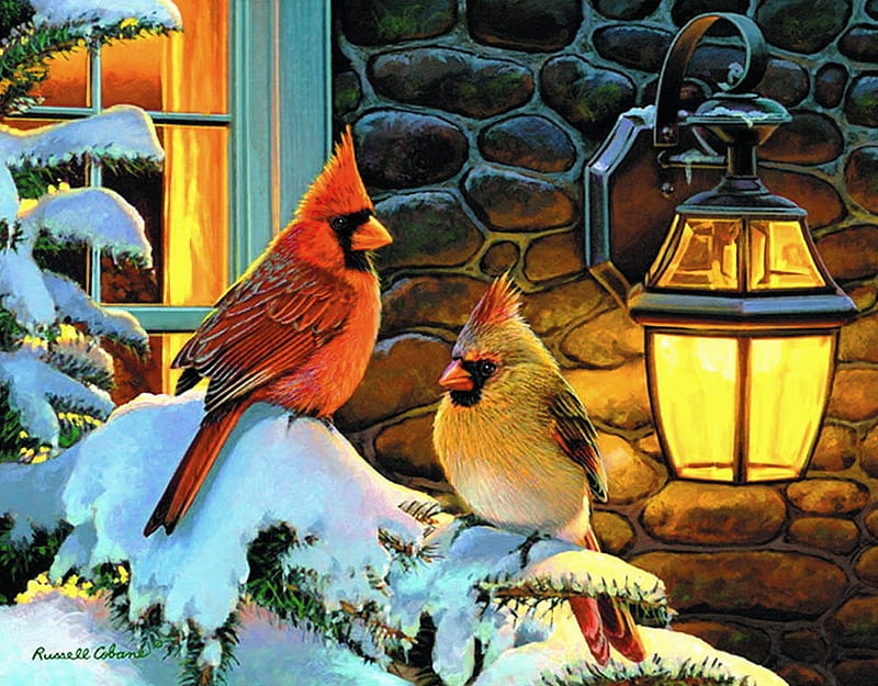 Staying warm, glow, lantern, window, winter, cold, cardinals, warmth, snow, red and yellow, pair, HD wallpaper