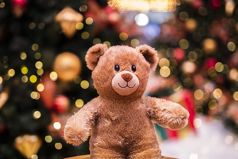 brown bear plush toy, HD wallpaper