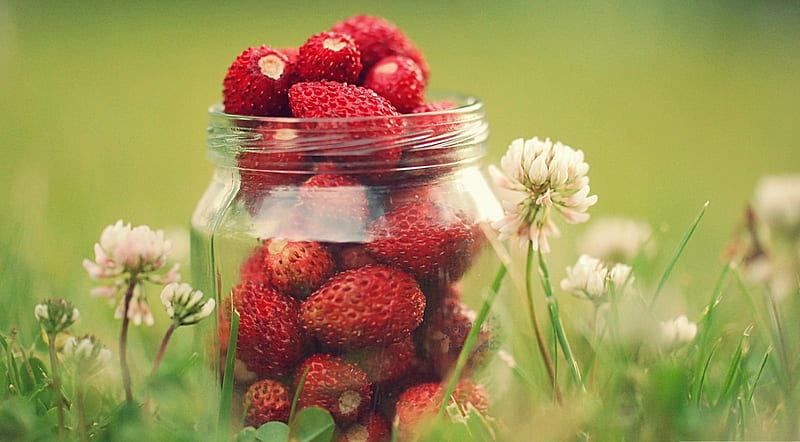 Strawberry jar, graphy, food, strawberry, berries, berry, fruits, spring, HD wallpaper