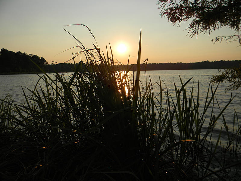 Sunset on Bluff Lake, sunset, mississippi, refuge, lake, HD wallpaper