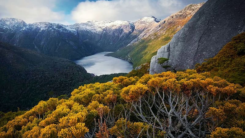 Fiordland National Park, New Zealand, rocks, clouds, flowers, trees, landscape, lake, sky, HD wallpaper