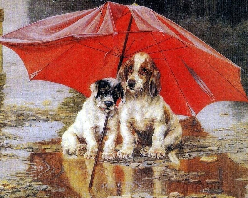 Perros bajo la lluvia, peludos, cuadros, dibujar y pintar, amor cuatro  estaciones, Fondo de pantalla HD | Peakpx