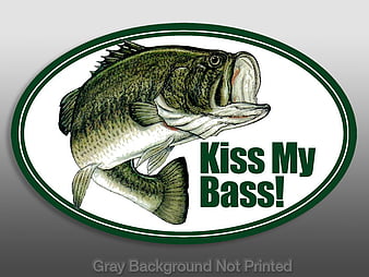 Bass Mullet  Lake BG  American flag wallpaper Fish wallpaper Hunting  wallpaper