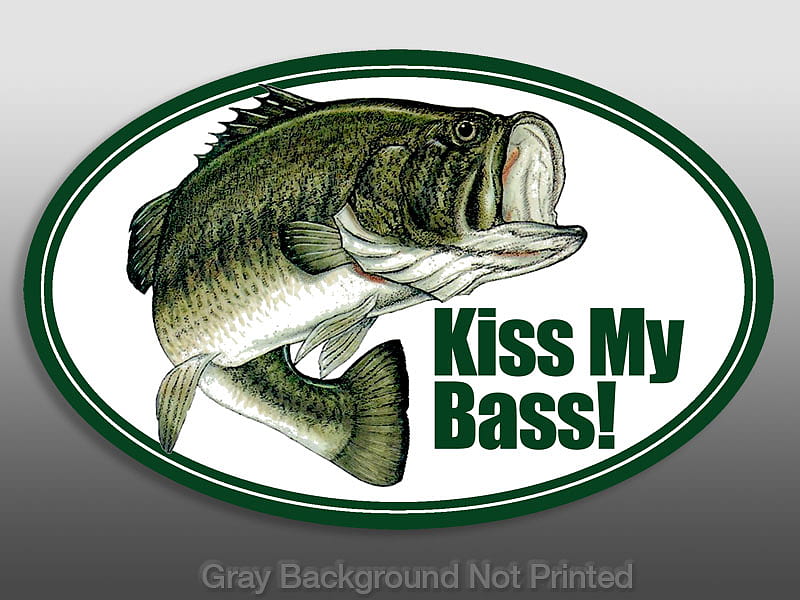 Bass, my, fish, kiss, HD wallpaper
