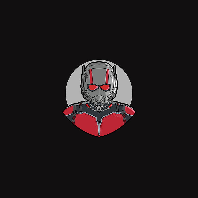 Ant Man, antman, avengers, black, endgame, marvel, red, superhero, wasp, HD  phone wallpaper | Peakpx