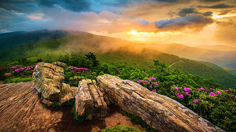 Appalachian Mountains, Tennessee, rocks, sun, usa, sunset, clouds, sky, trees, landscape, colors, HD wallpaper