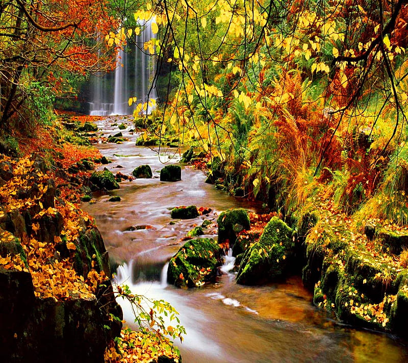 Autumn Waterfall, bonito, good, look, nice, HD wallpaper | Peakpx