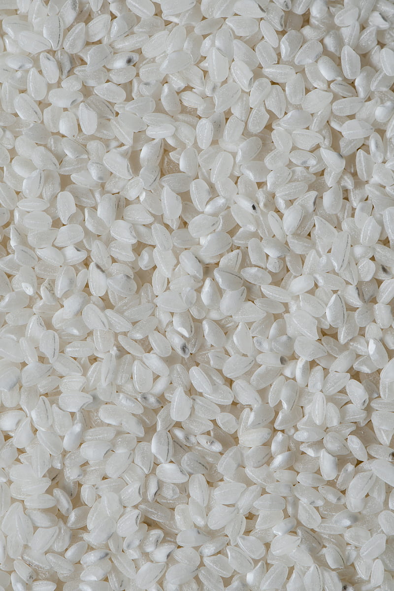 White Rice Grains on White Ceramic Plate, HD phone wallpaper