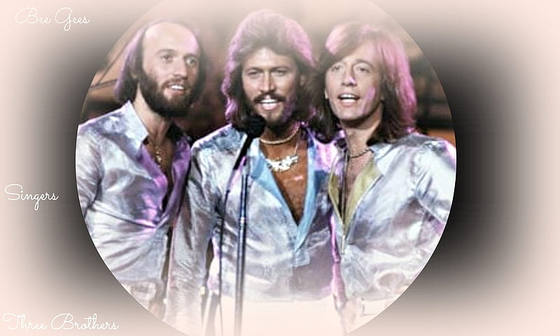 Bee Gees, Handsome, Entertainment, Three, Brothers, HD wallpaper