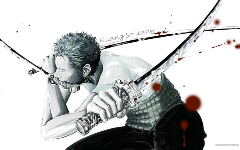 Roronoa Zoro Three Sword Style Haki Anime Manga Pirate Hunter Straw Hat Member Hd Wallpaper Peakpx