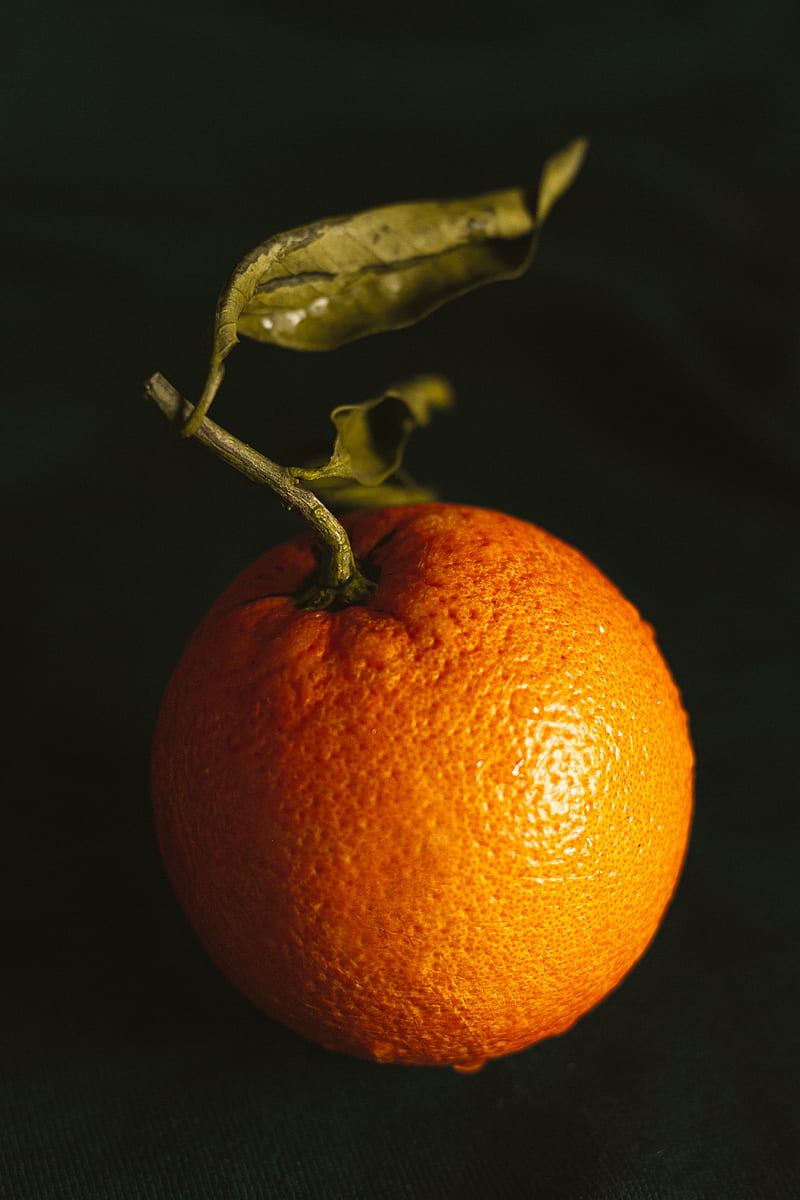 orange, fruit, citrus, wet, HD phone wallpaper