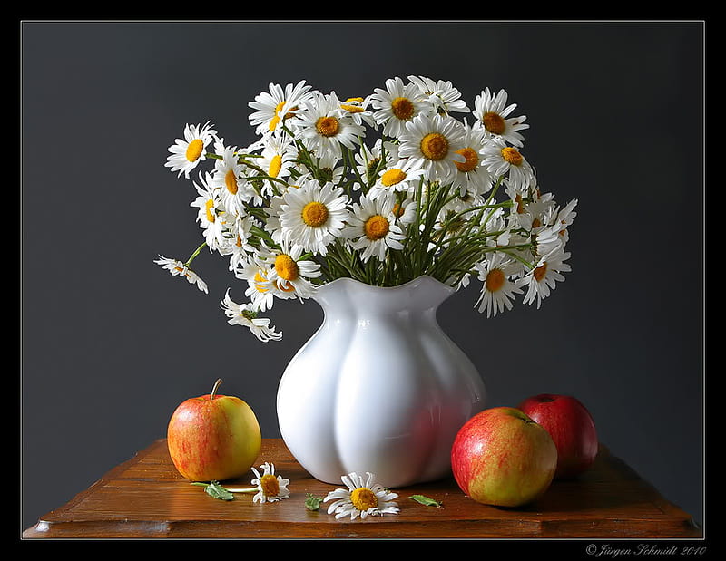 still life, apple margarita, vase, bonito, fruit, graphy, flower bouquet, flowers, white, HD wallpaper