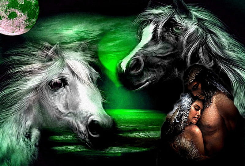 HORSE, couleur, animals, horses, 2012, HD wallpaper