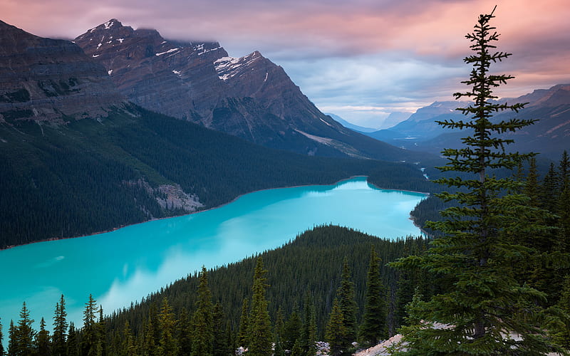 Peyto Lake sunset, mountains, forest, blue lake, Canada, HD wallpaper
