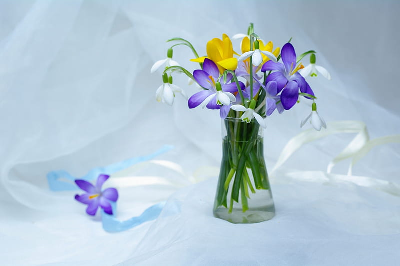 Beautiful Flowers, Snowdrops, Primroses, Vase, Crocuses, HD wallpaper