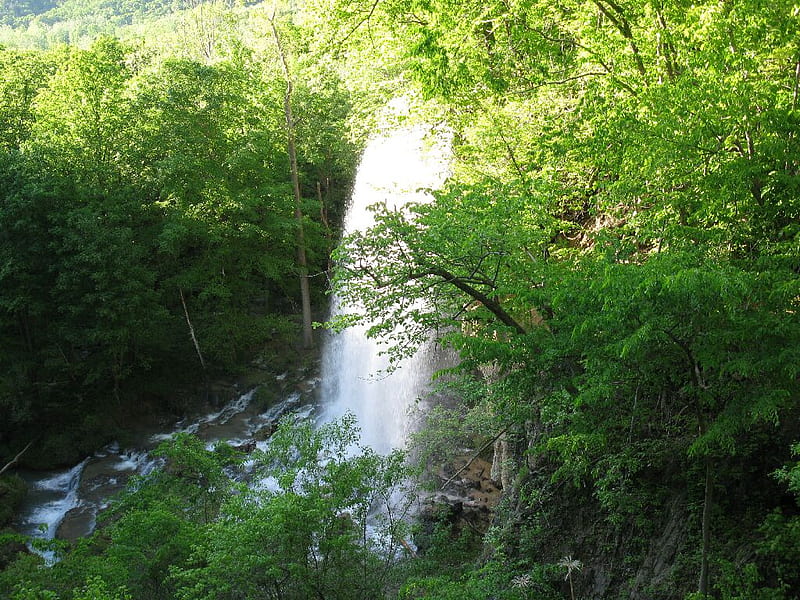 Falls near Hot Springs, VA., hot springs, covington, va, waterfalls, HD wallpaper