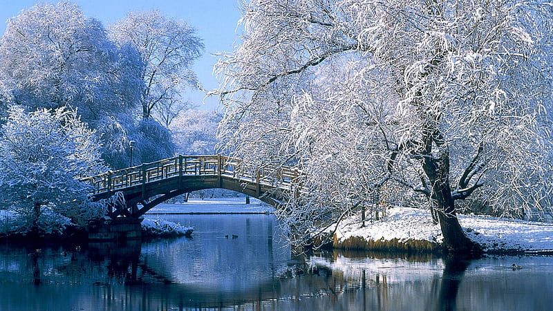 Bridge over a cold river, Waterway, Bridge, River, Lake, Snow, Tree, HD wallpaper