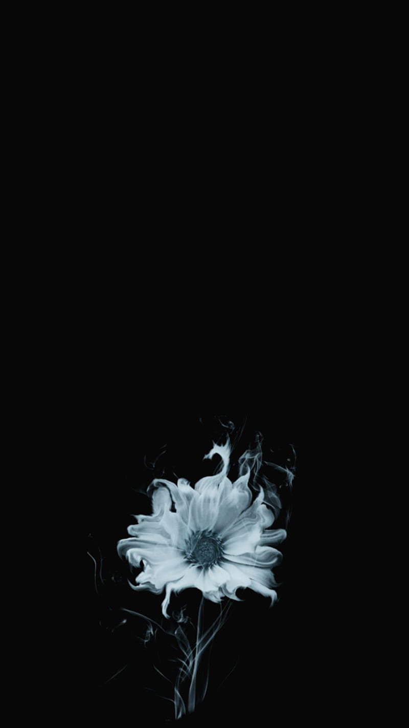 Black And White Flower Wallpaper Hd | Best Flower Site