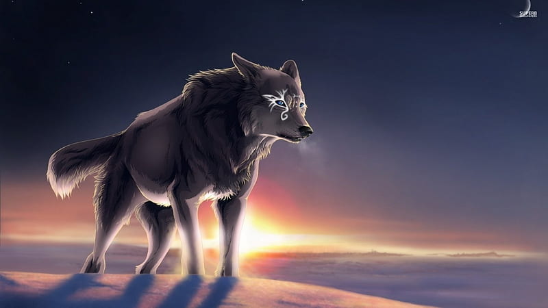 Magical Wolf at Sunset, sunset, wolf, digital art, animal, HD wallpaper ...