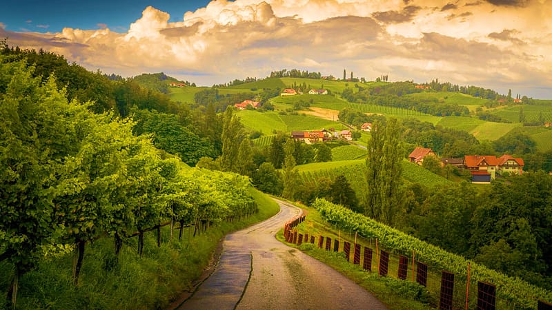 Italian Vineyards, clouds, landscape, trees, italy, road, sky, tuscany, hills, plants, houses, HD wallpaper