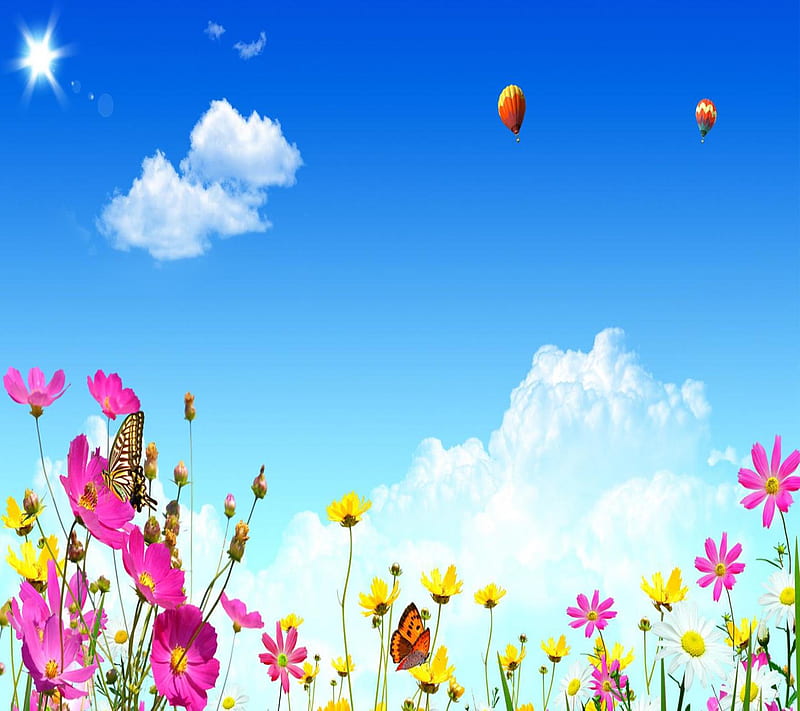 Flowery morning, bonito, cute, look, nice, HD wallpaper | Peakpx