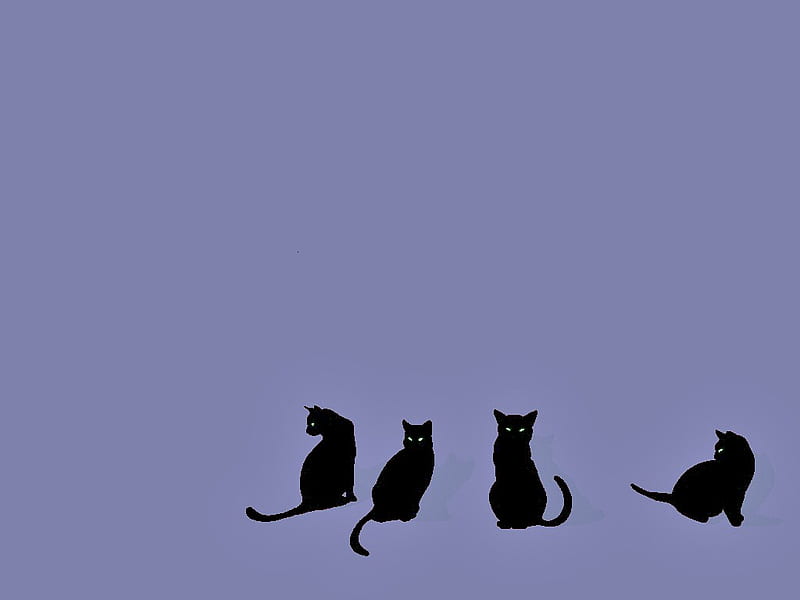 Four black cats, bright eyes, four, blue background, black, cats, HD ...