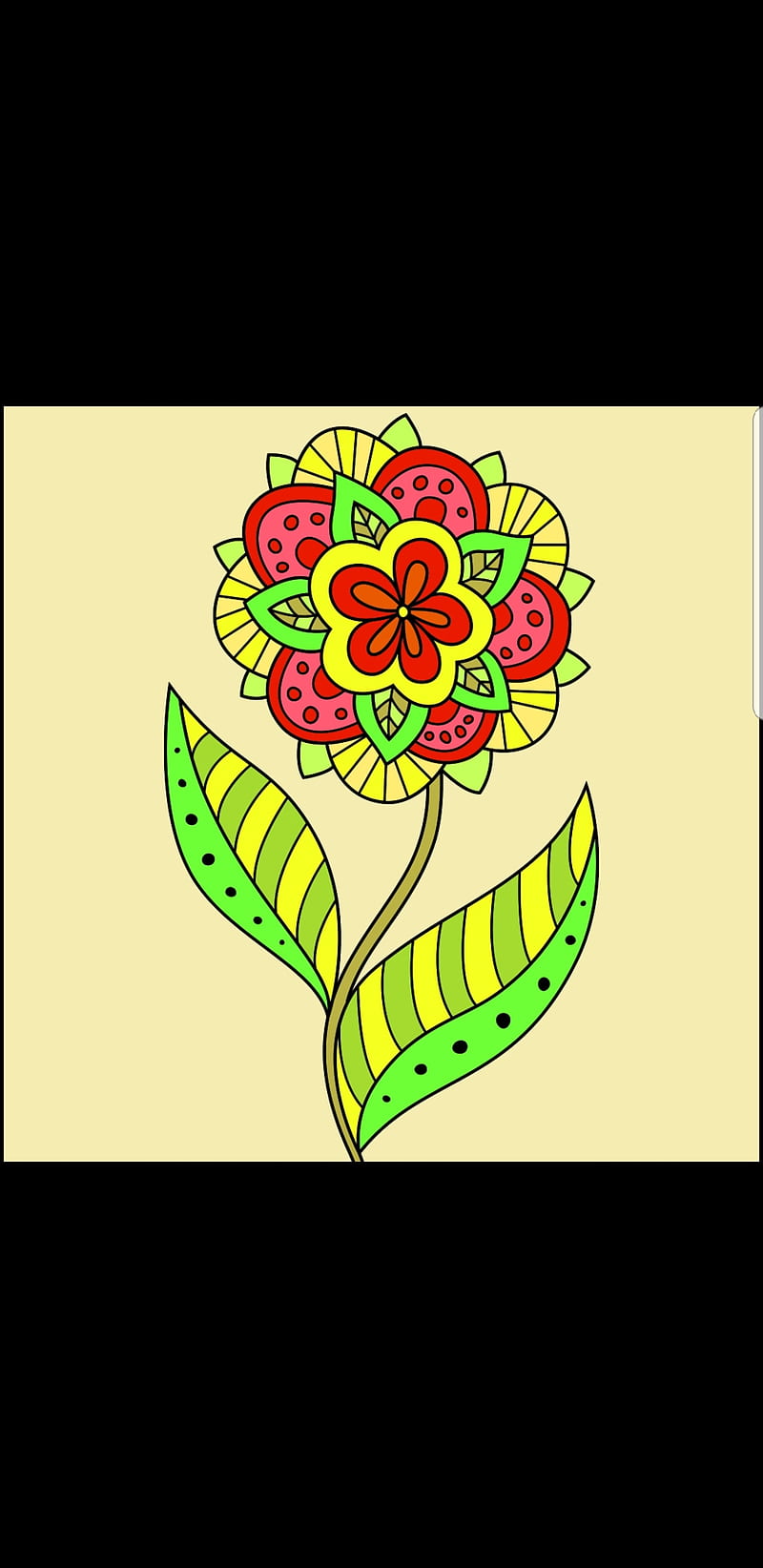 Wild wallflower, color, flower, HD phone wallpaper