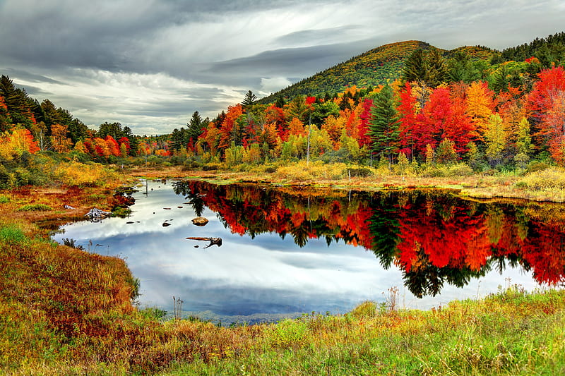 White Mountains, New Hampshire, trees, lake, fall, colors, clouds, sky, HD wallpaper