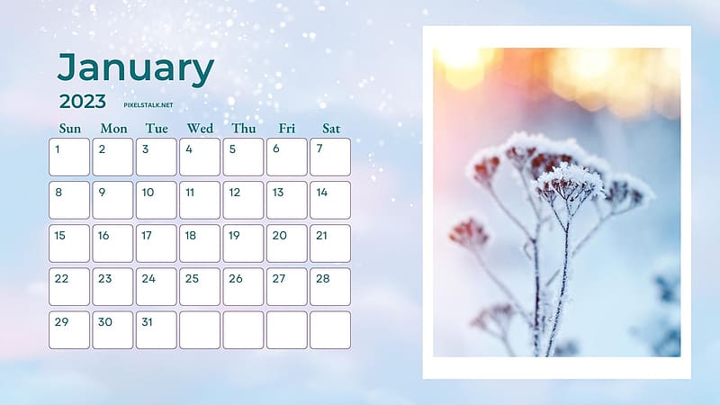 January Calendar 2023 Desktop Wallpapers  PixelsTalkNet