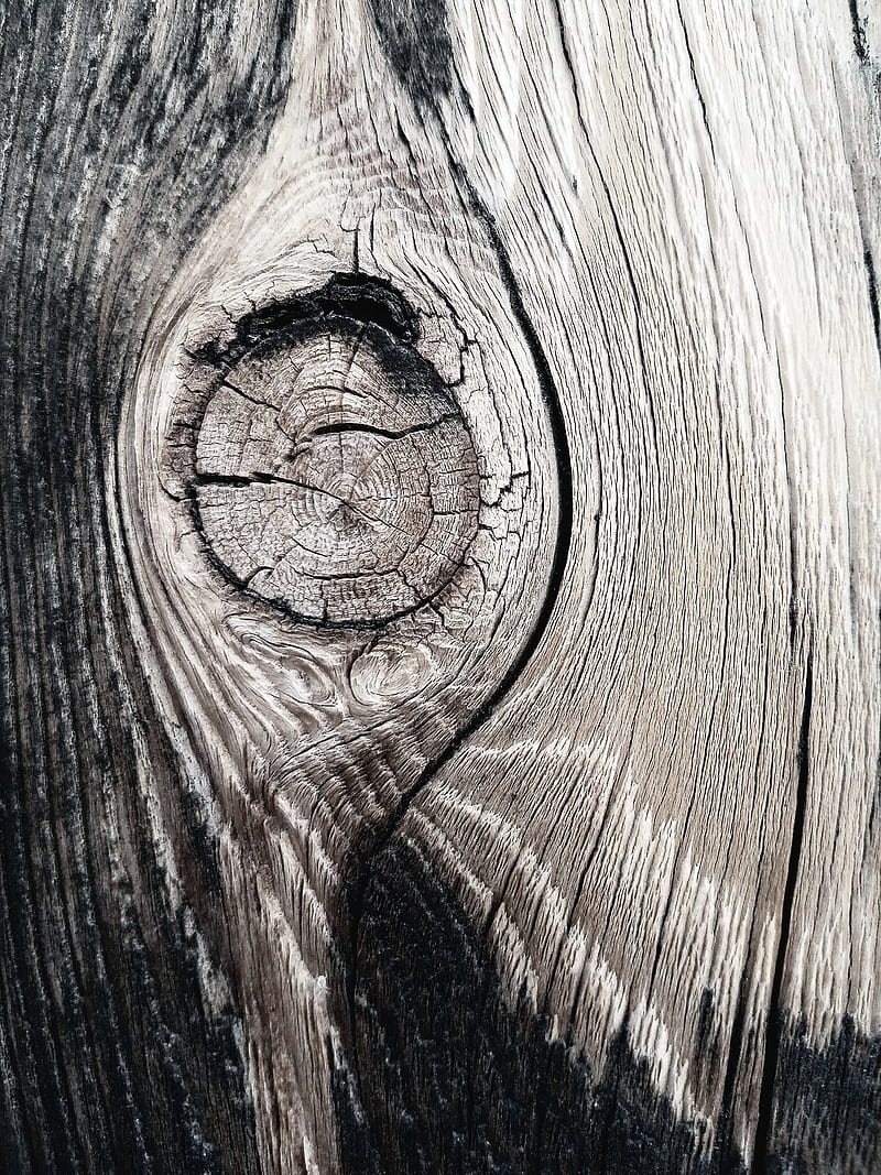 Abstract Wood, dead, horror, nature, spiral, HD phone wallpaper