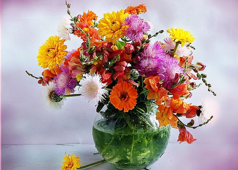 Still life, joyful, colorful, graphy, flowers, vase, various, nature, HD wallpaper