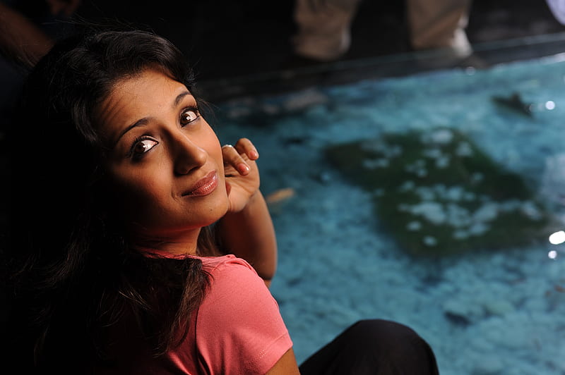 Trisha , tamil actress, trisha krishnan, HD wallpaper