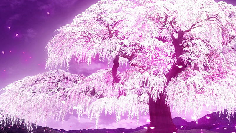 Flor de cerezo anime, bonita, flor de sakura, planta, bonito, magia, flor de  cerezo, Fondo de pantalla HD | Peakpx
