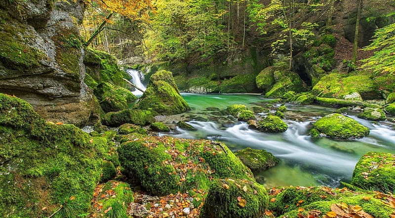 Nature, Waterfall, , Moss, River, HD wallpaper | Peakpx