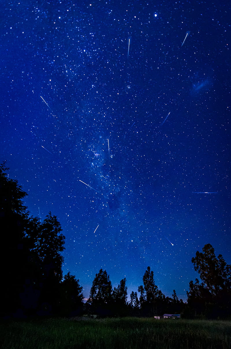 Cielo estrellado, cometas, arboles, noche, Fondo de pantalla de teléfono HD  | Peakpx