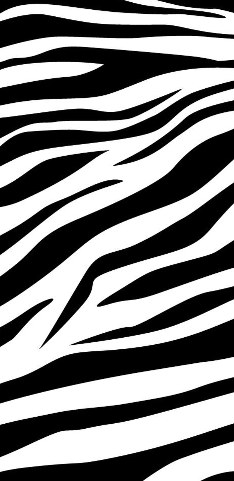 zebra print, HD phone wallpaper